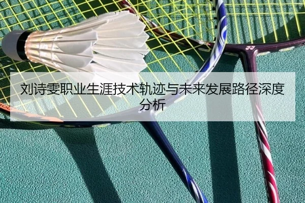 刘诗雯职业生涯技术轨迹与未来发展路径深度分析