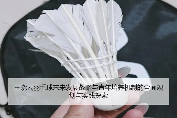 王晓云羽毛球未来发展战略与青年培养机制的全面规划与实践探索