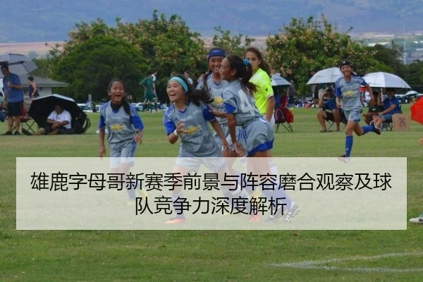 雄鹿字母哥新赛季前景与阵容磨合观察及球队竞争力深度解析